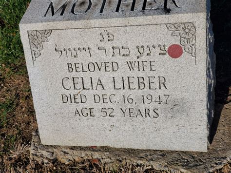 Celia (Solomon) Lieber 1894